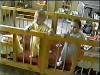 NDVD_008.jpg